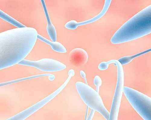 国内供卵地方,两个异地户口怎么领证,双方都异地办理结婚证