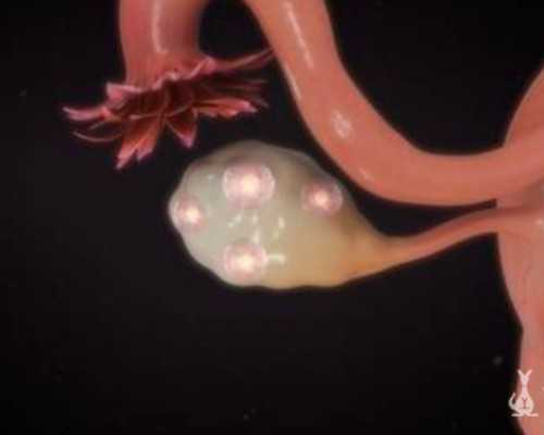 国内代生的费用,2025广州可以做三代试管的医院成功率