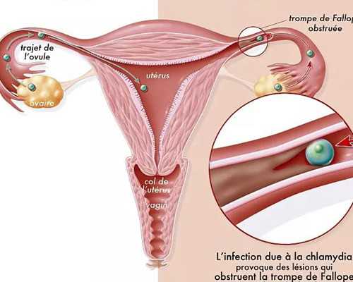 国内试管代怀中心,玛祖做三代试管婴儿的全部费用是多少呢，附试管医院介绍！